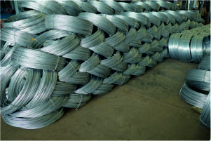 wire mesh plant
